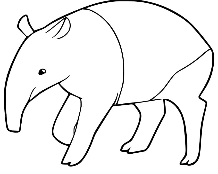 Simple Tapir
