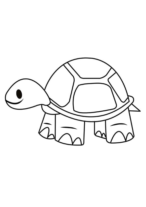 Simple Turtle