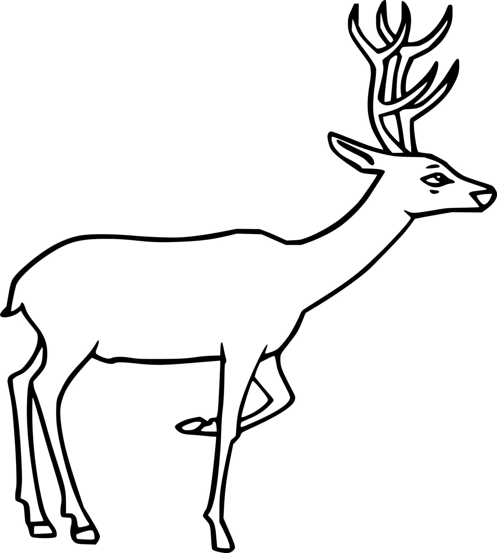Simple White Tailed Deer