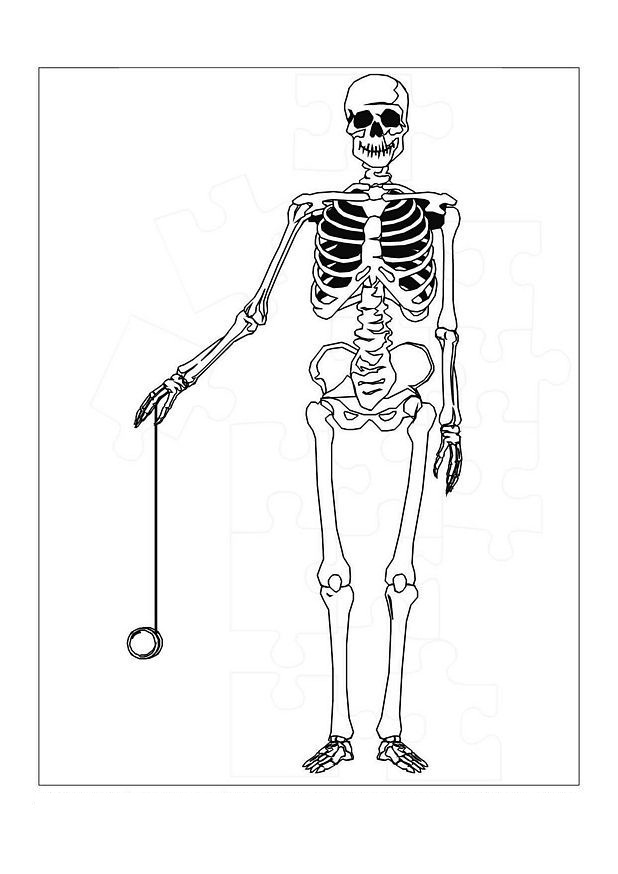 Skeleton Photos Coloring Page