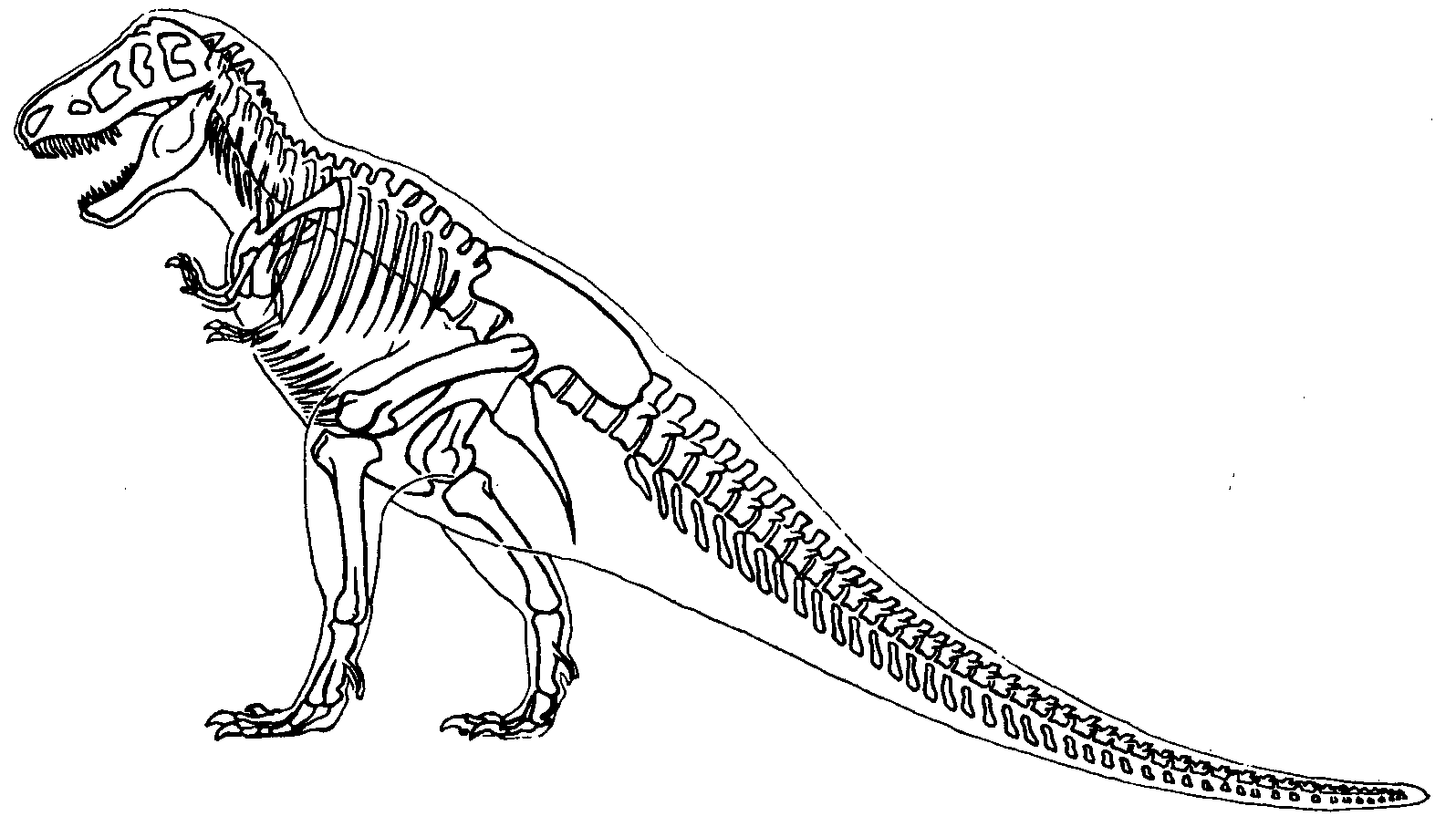 Skeleton T-Rex Coloring Page