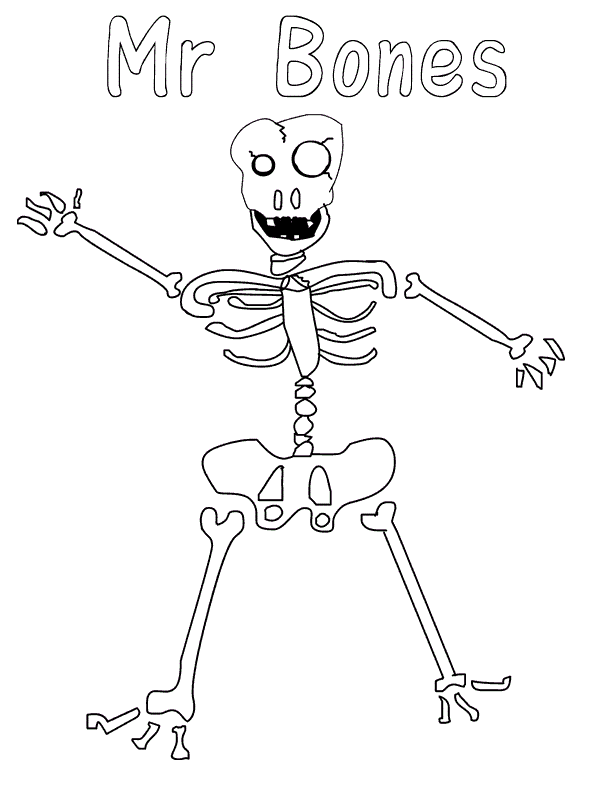 Skeletons For Kids