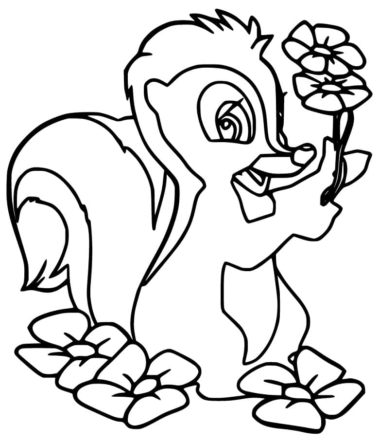 Skunk and Flower Coloring Page