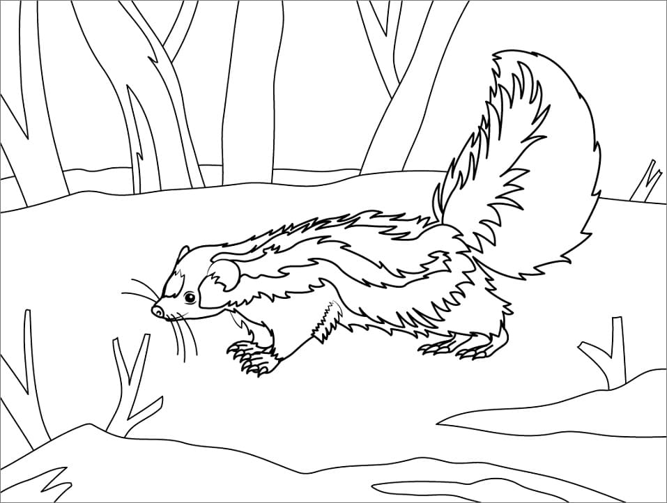 Skunk in the Forest Coloring Page