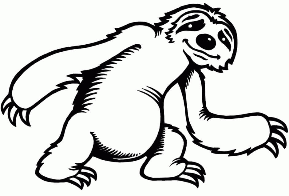 New Printable Sloth Coloring Page