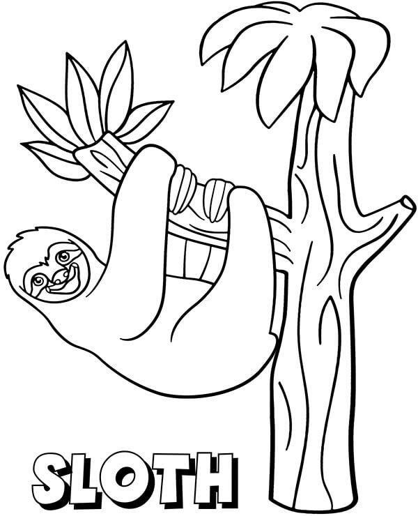 Sloth on a Tree Coloring Page