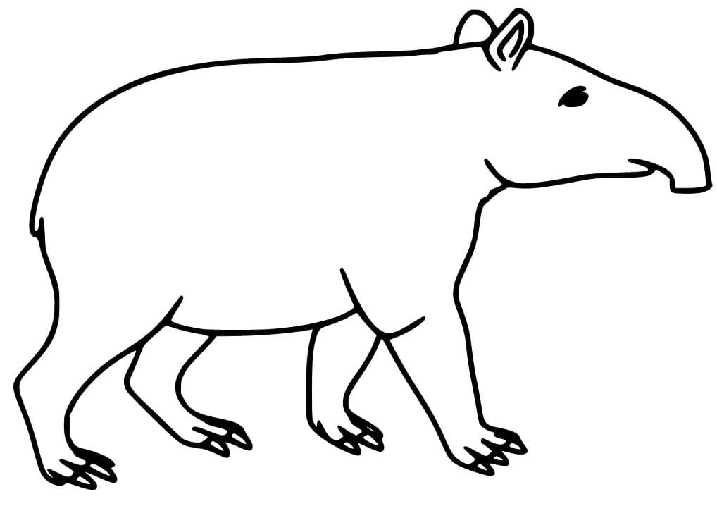 Small Tapir