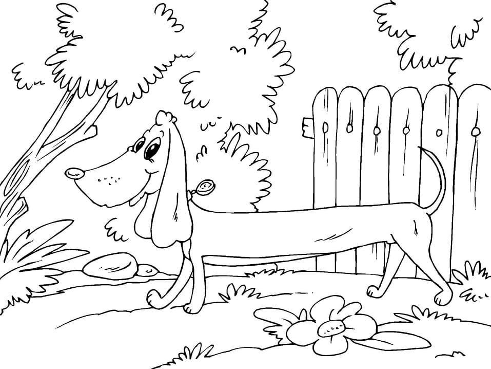 Smiling Dachshund Coloring Page