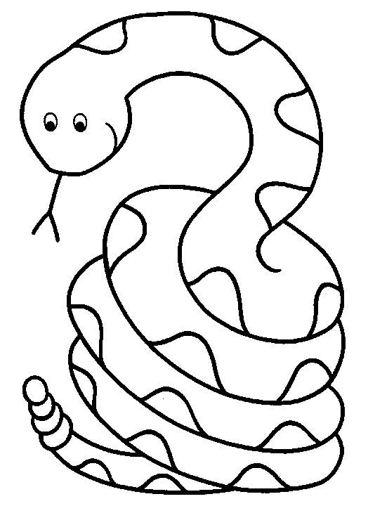 Snake Preschool S Zoo Animals6fcf Coloring Page