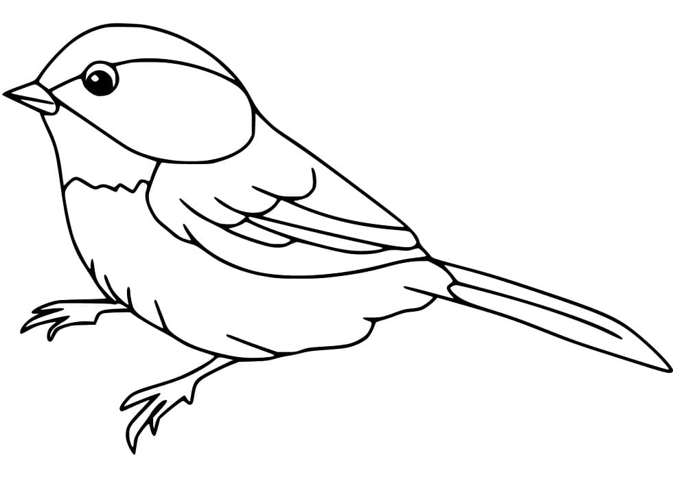 Sparrow Printable