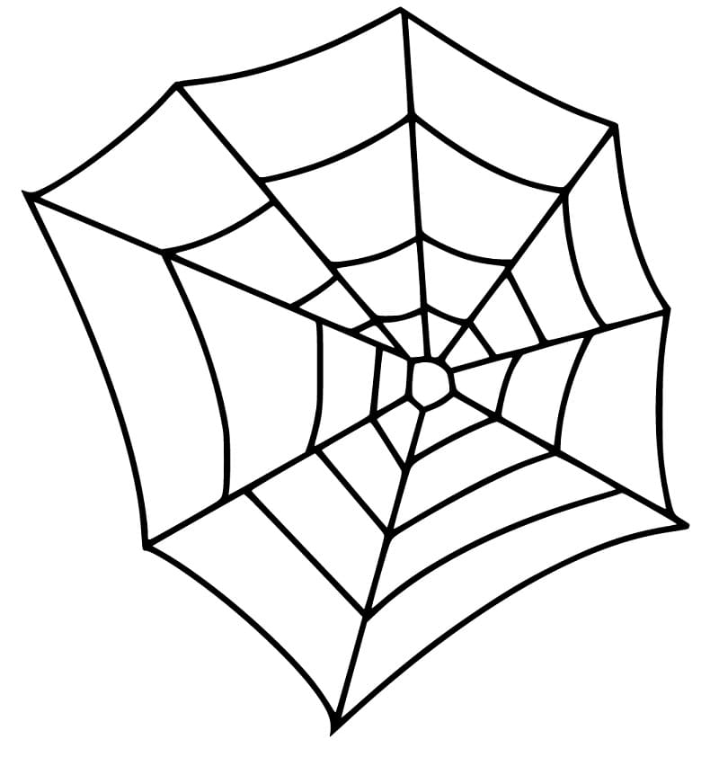 Spider Web Printable
