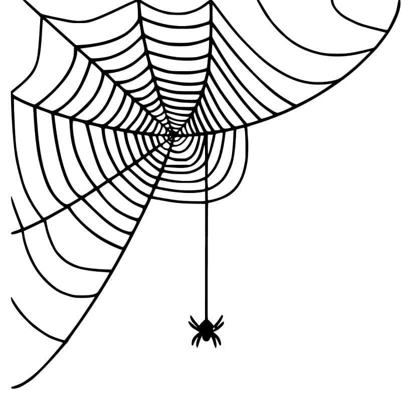 Spider with Spider Web 1