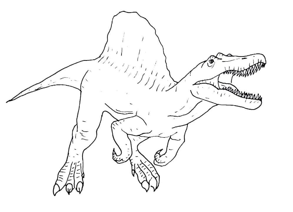 Spinosaurus 9 Coloring Page
