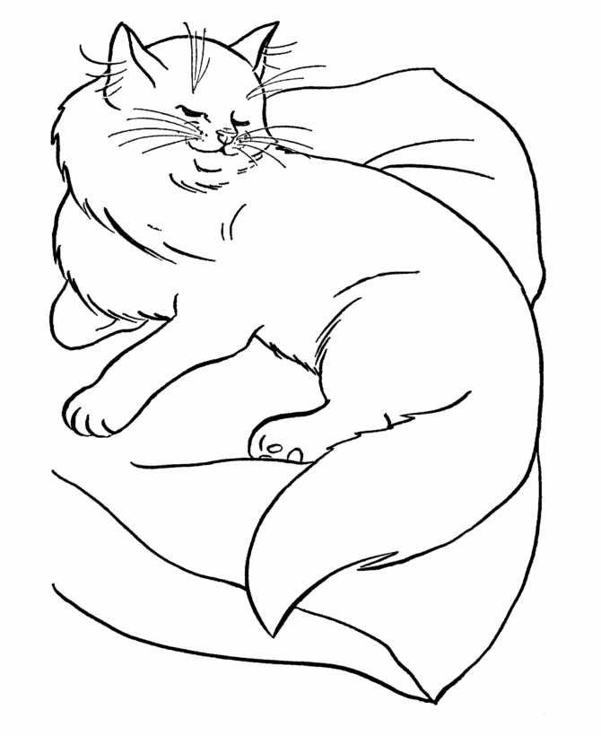 Spoiled Cat Animal Coloring Pagesb921 Coloring Page