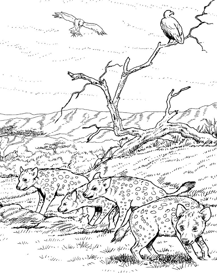 Spotted Hyenas Clan Coloring Page