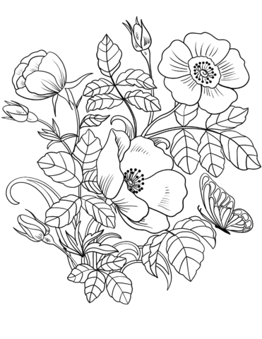 Spring Flowers And Butterfly Coloring Page