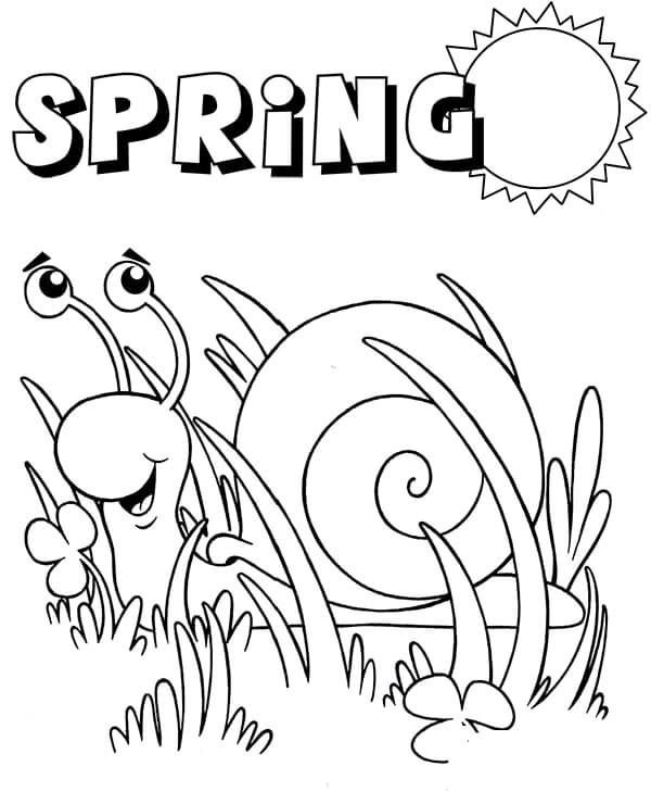 Spring snail sun