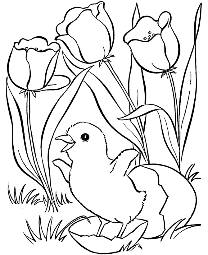 Springs Tulips and Egg Coloring Page