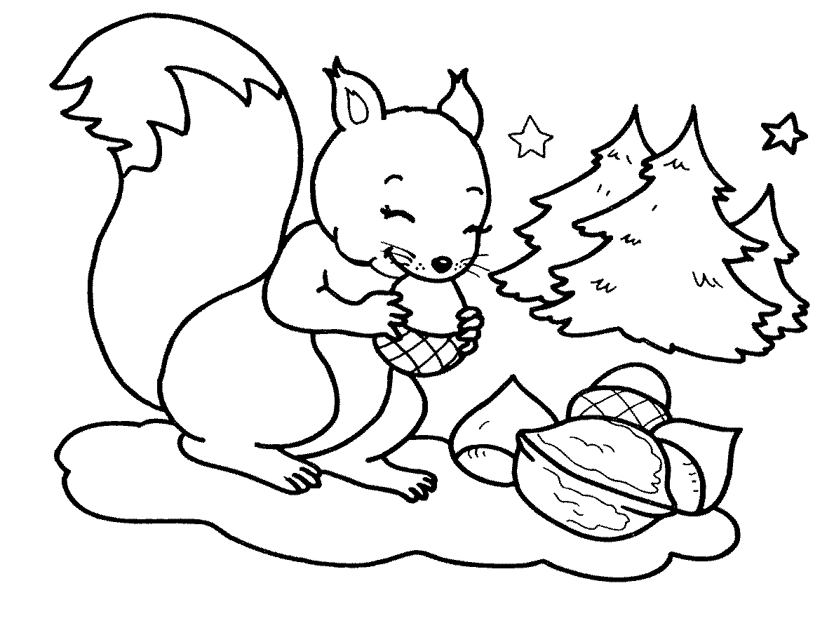 Squirre Eating Acorns Coloring Page