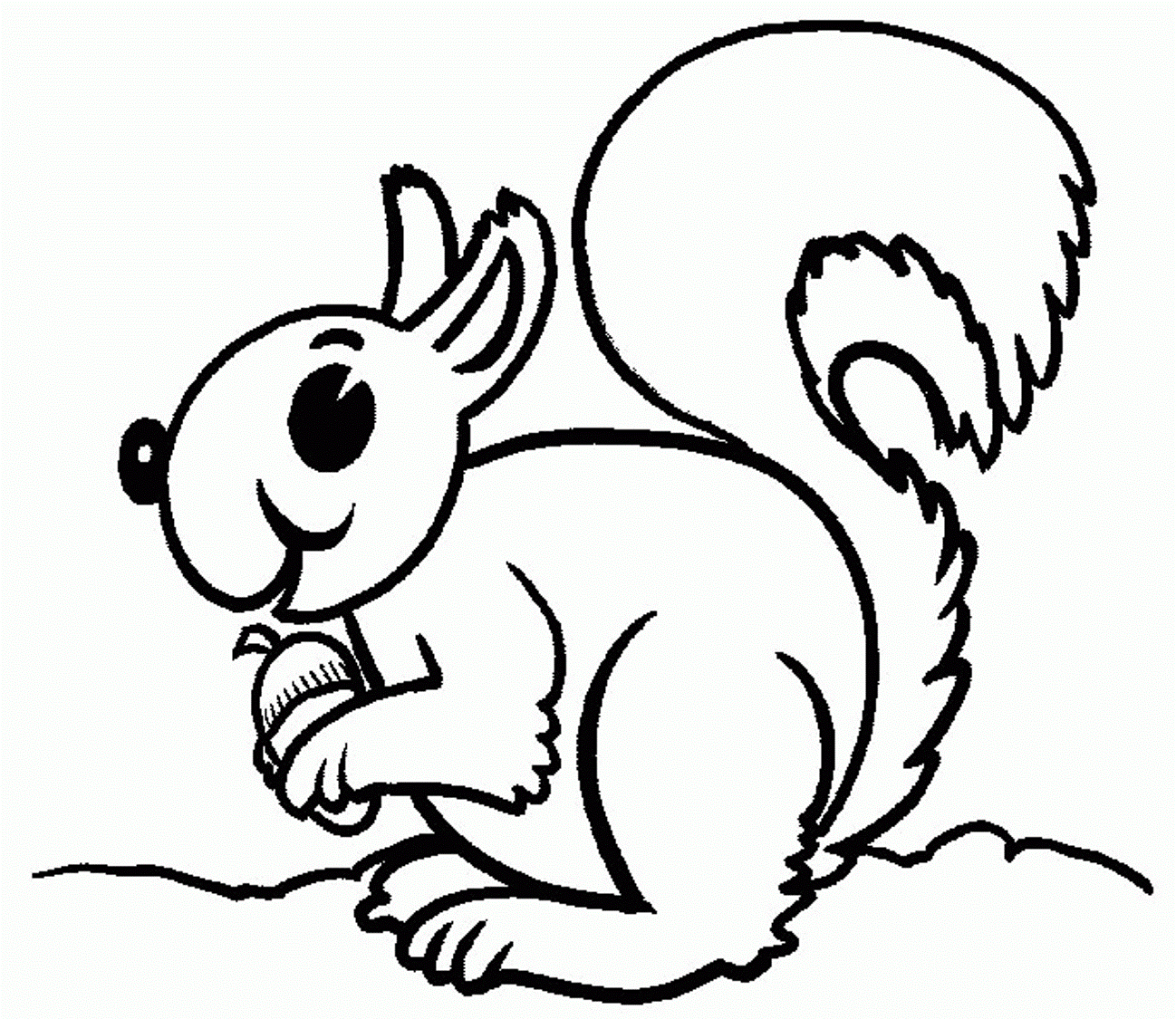 Squirrel S Animald6a2 Coloring Page