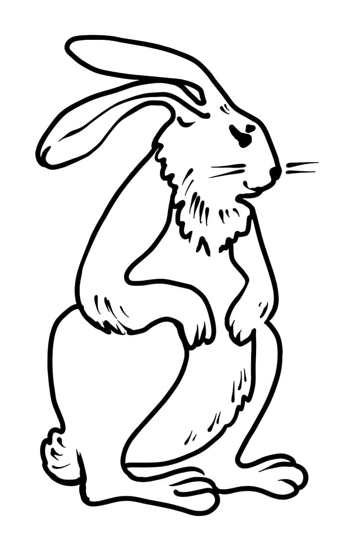 Standing Rabbit Coloring Page