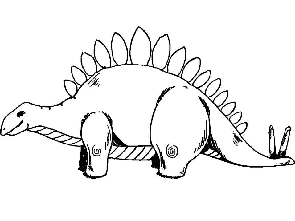 Stegosaurus 4 Coloring Page