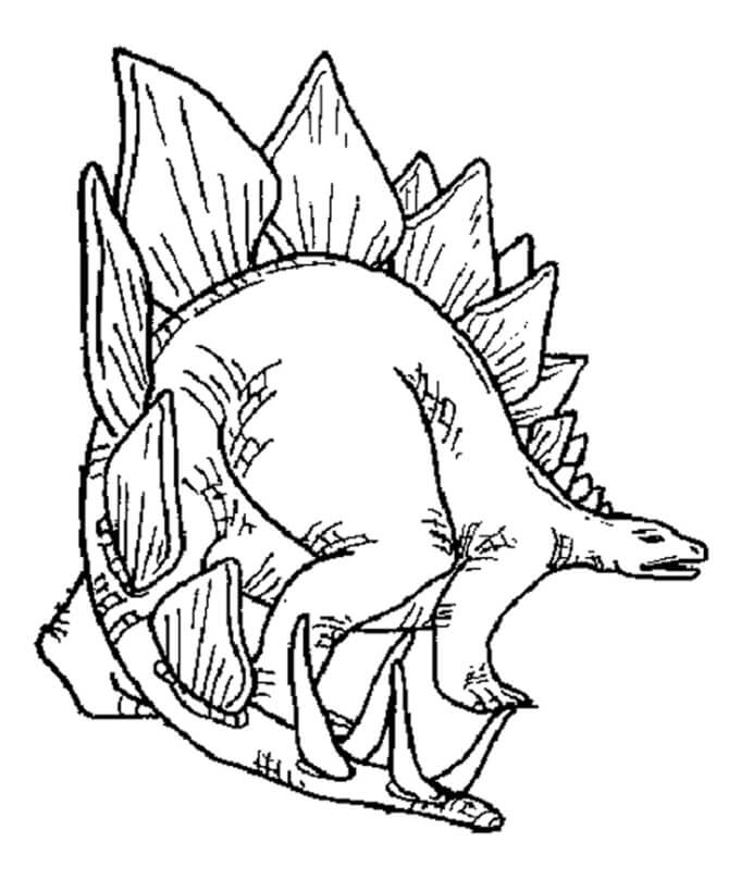 Stegosaurus 5 Coloring Page