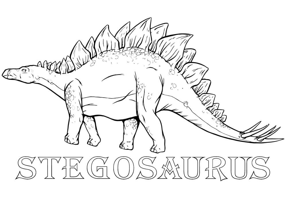 Stegosaurus 6 Coloring Page