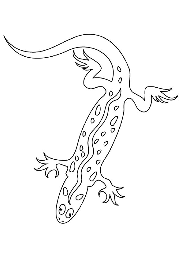 Sticky Gecko Coloring Page