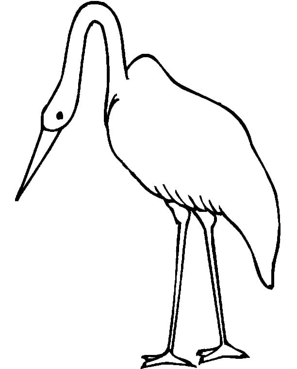 Stork 4