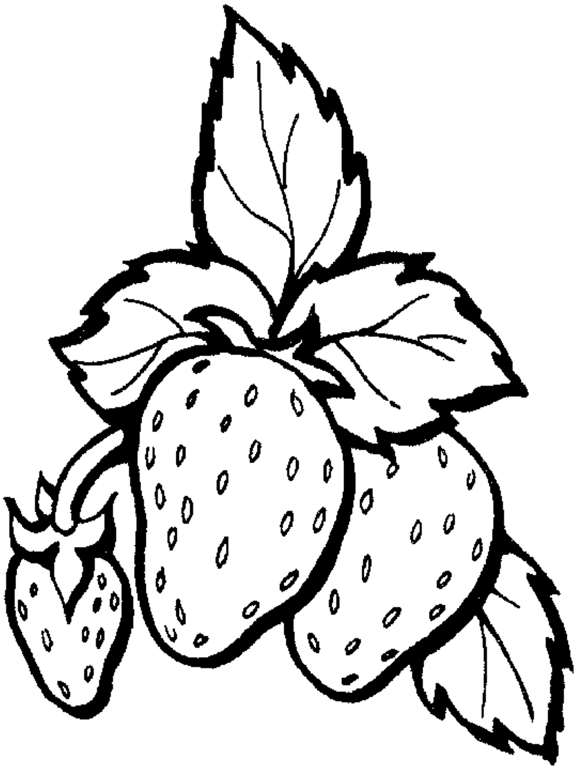 Strawberry Fruit S Freef8ca Coloring Page