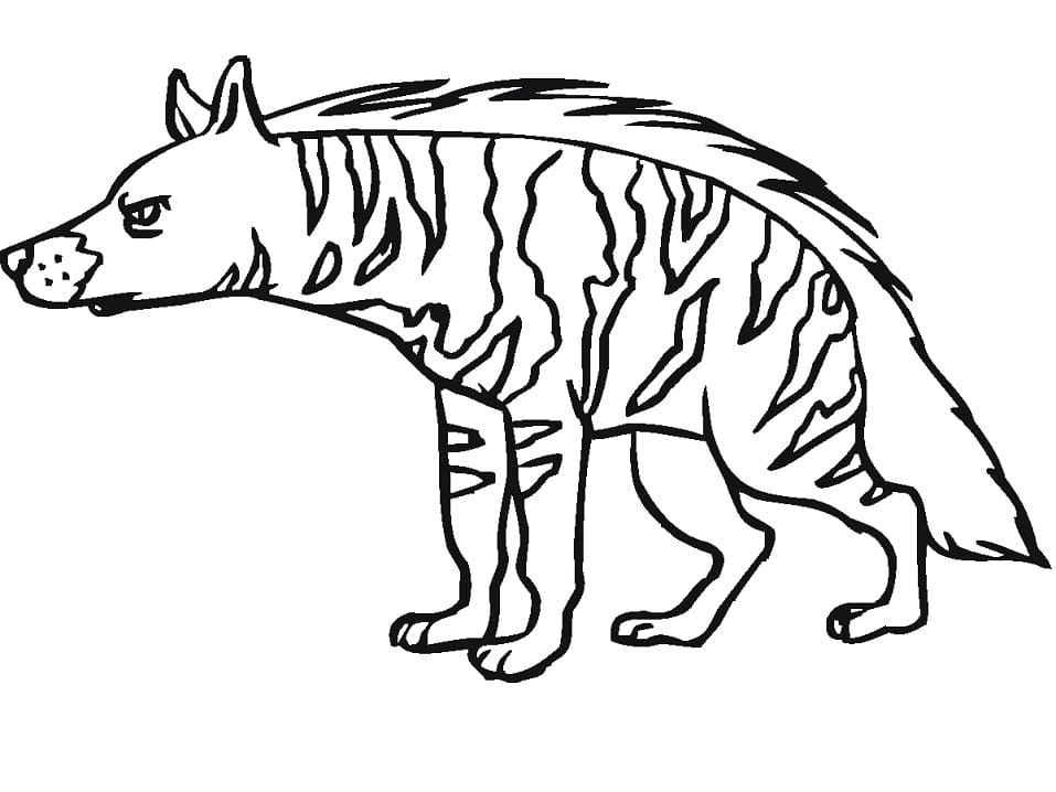 Striped Hyena 4 Coloring Page