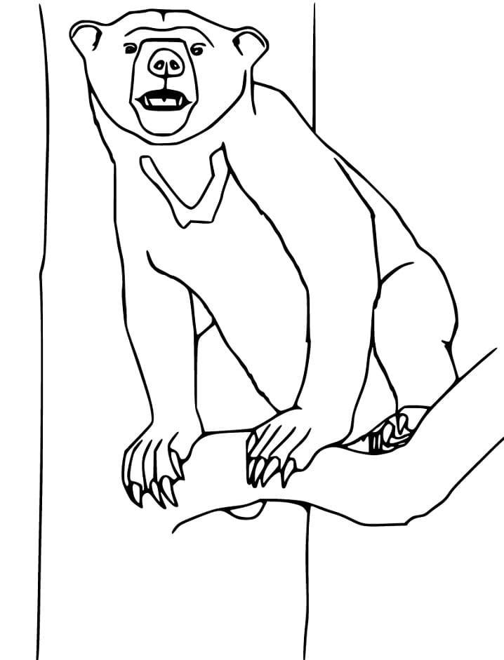Sun Bear on a Tree Coloring Page