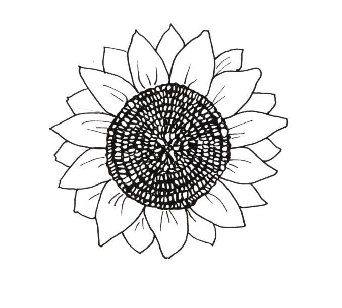 Sun Flower Coloring Page