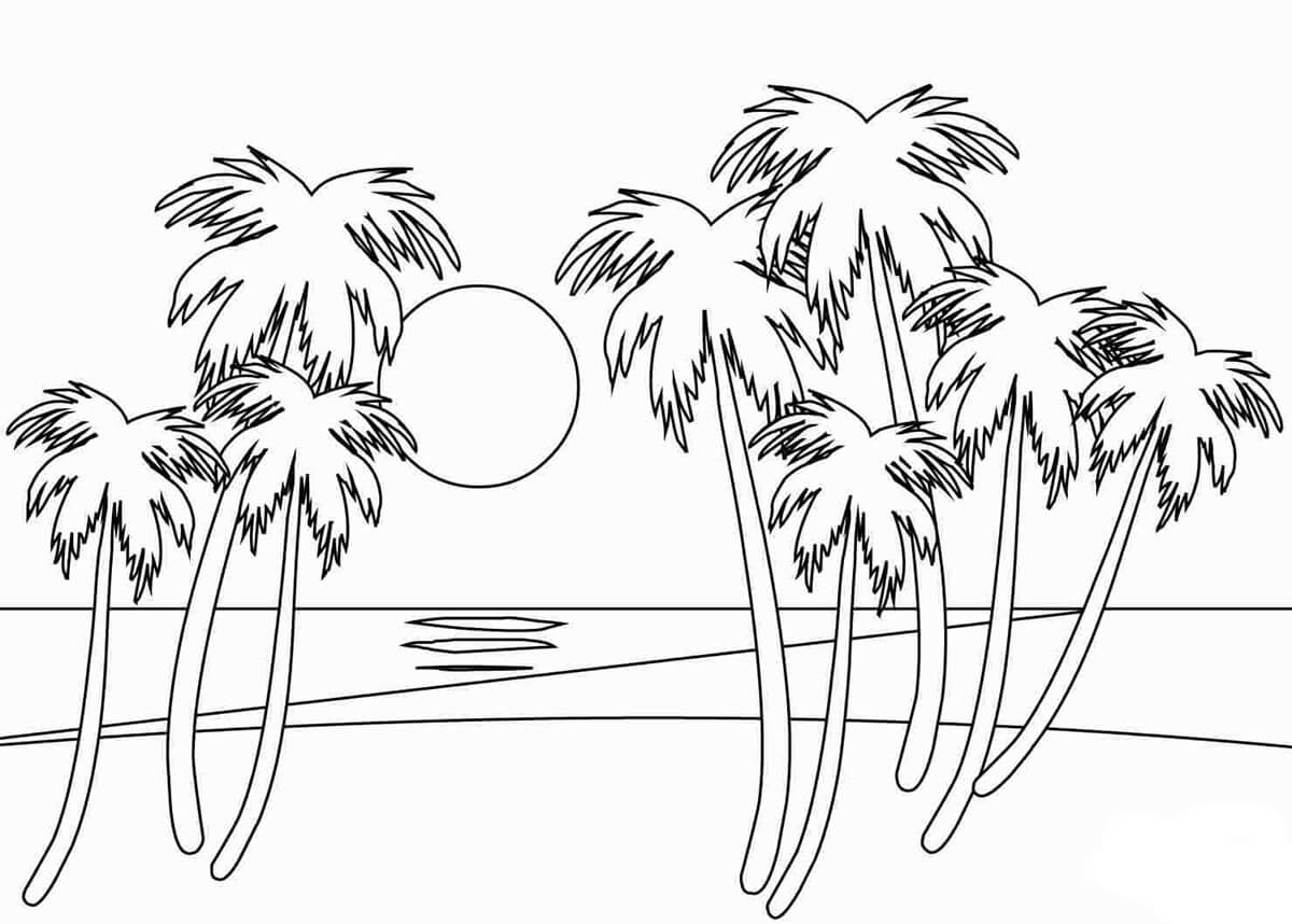 Sunset and Palm Tree Coloring Page