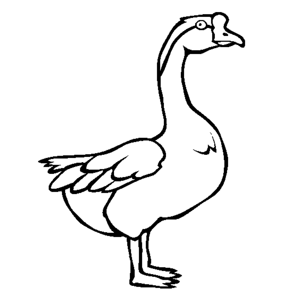Swan Goose Printable Animal S5ff1 Coloring Page
