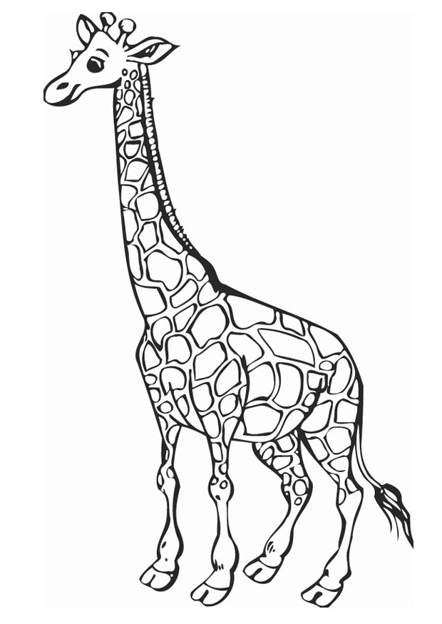Sweet Giraffe Animal Coloring Pages7bed Coloring Page