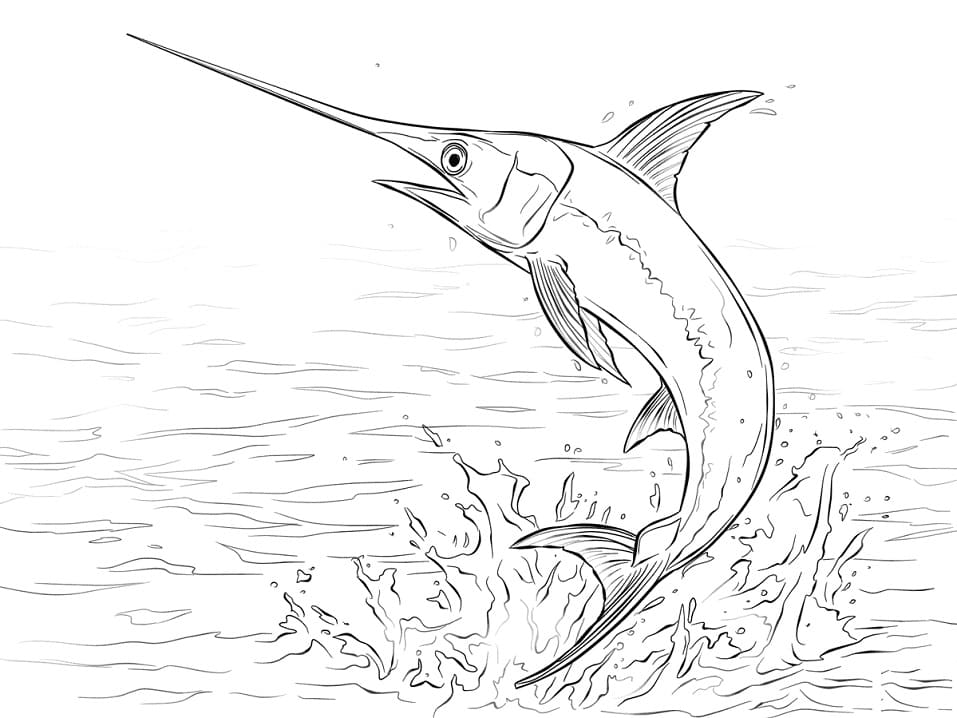 Swordfish Jumping Coloring Page