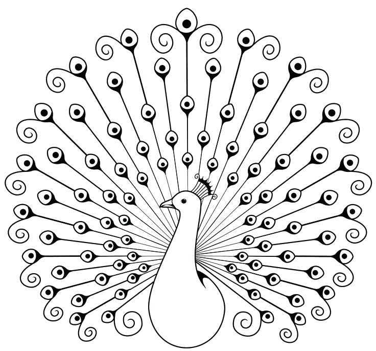 Symmetrical Peacock