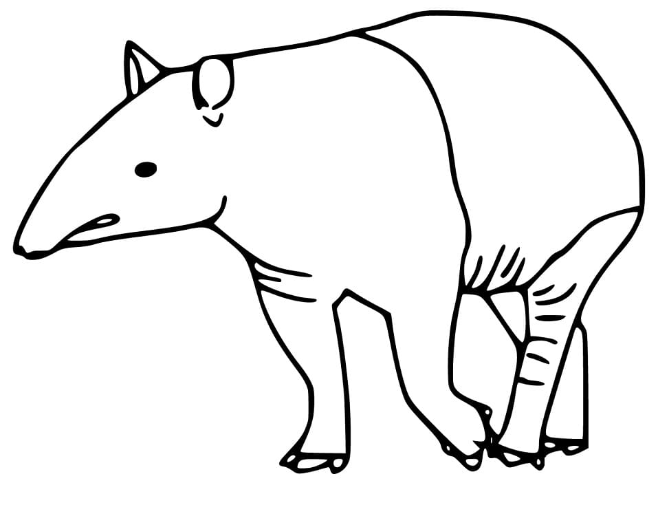 Tapir Printable
