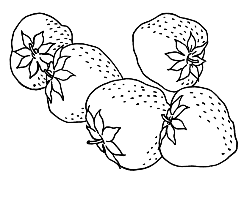 Tasteful Strawberry Fruit S5ee3 Coloring Page