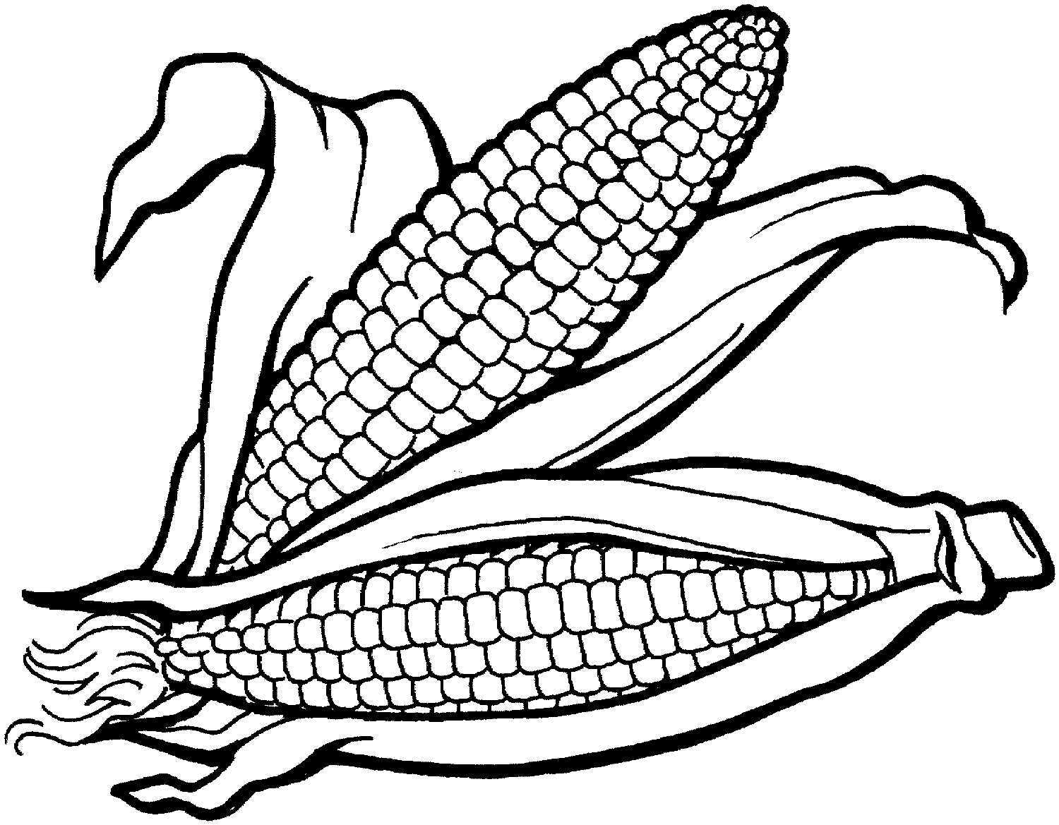 Thanksgiving S Cornf020