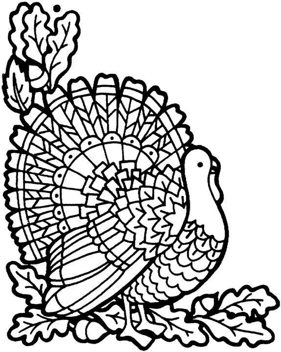 Thanksgiving Turkey – Novembers