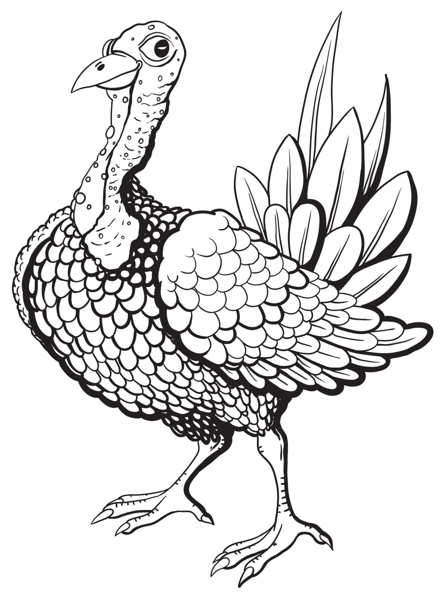 Thanksgiving Turkey Bumpy Neck Coloring Page