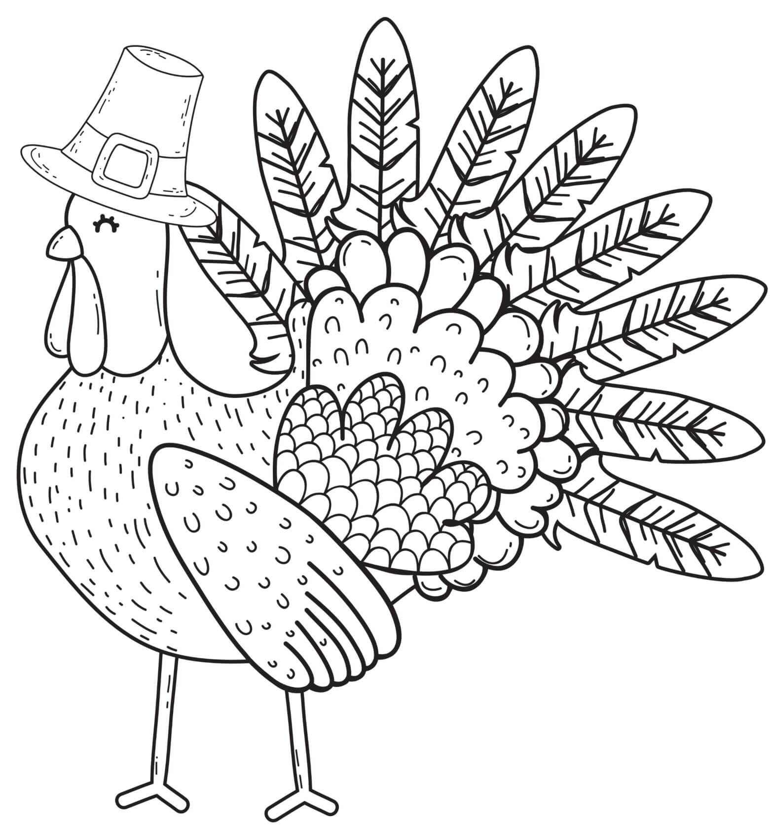 Thanksgiving Turkey Wearing Pilgrim Hat