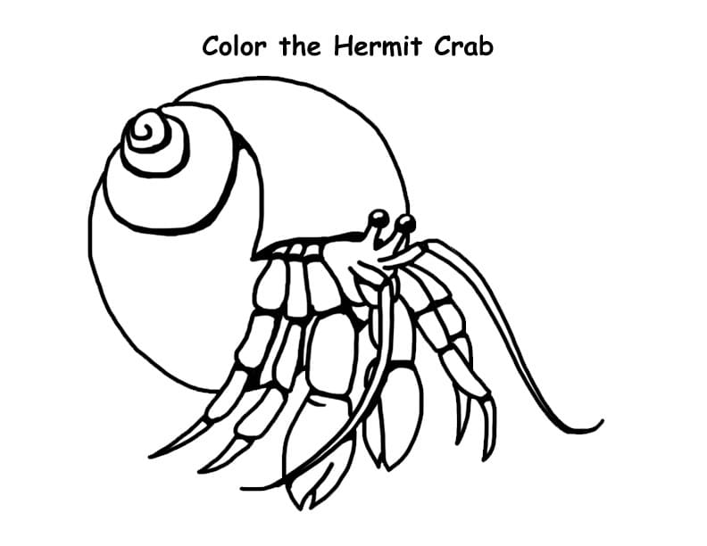 The Hermit Crab