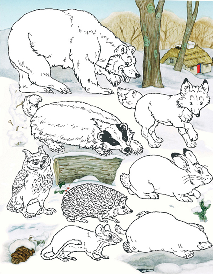 The Mitten Newsnotes4 By Jan Brett Coloring Page
