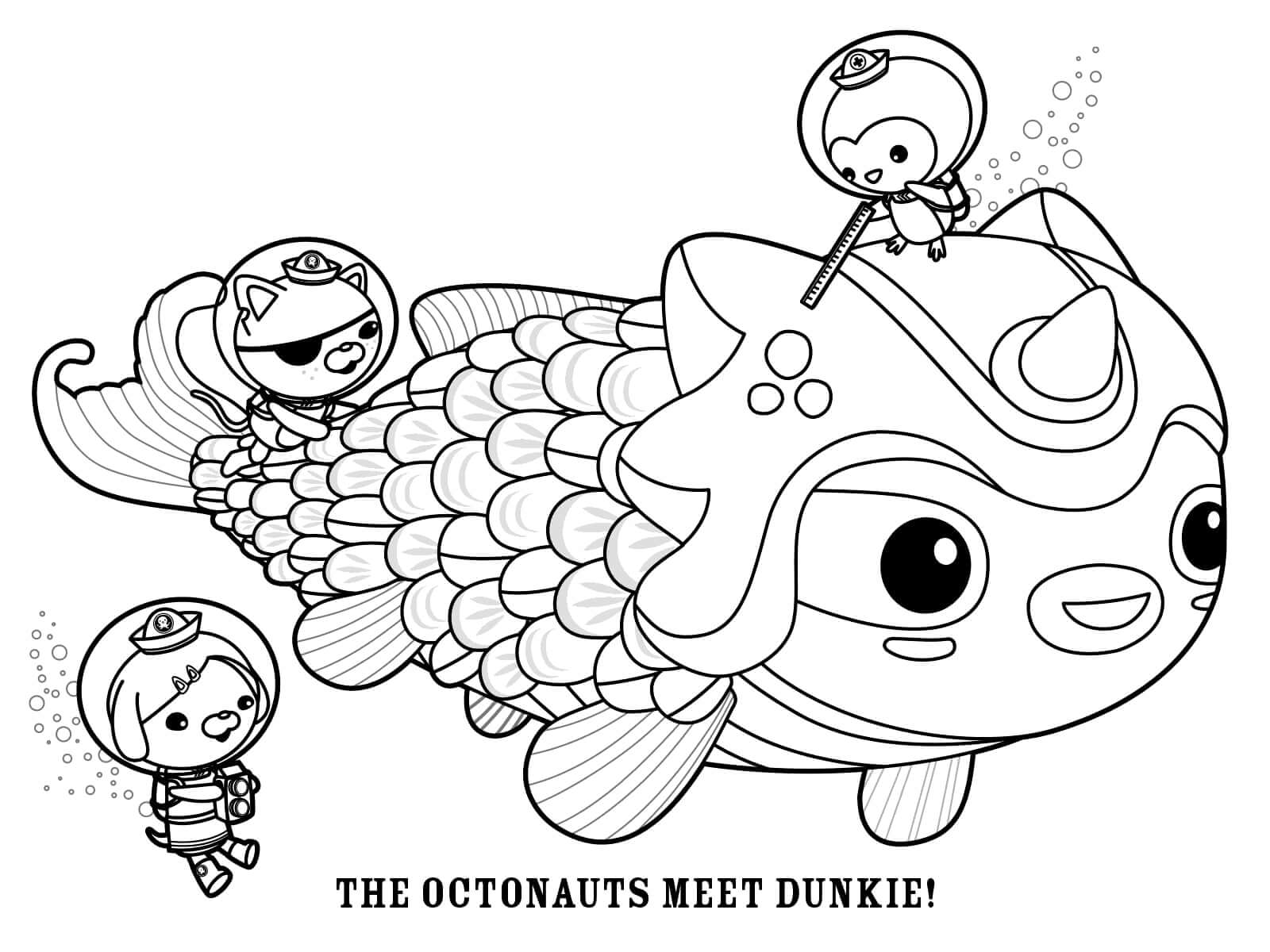The Octonauts Meet Dunkie