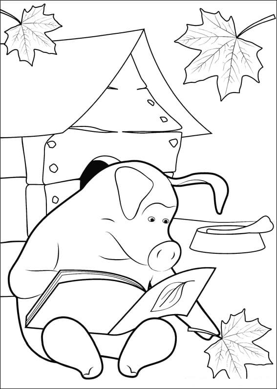 The Pig Reading Book Coloring Page