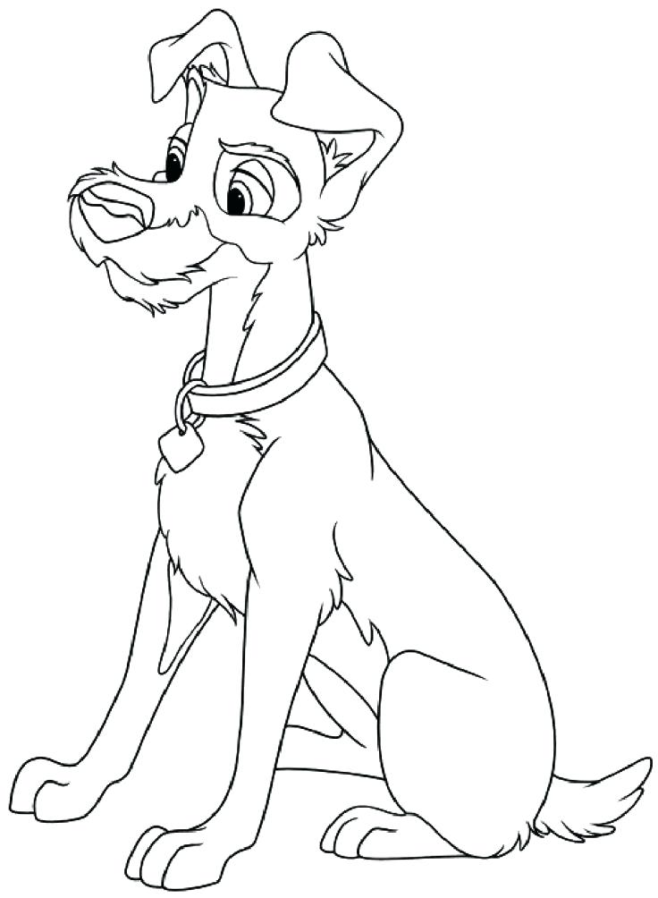 The Tramp Smiling Coloring Page